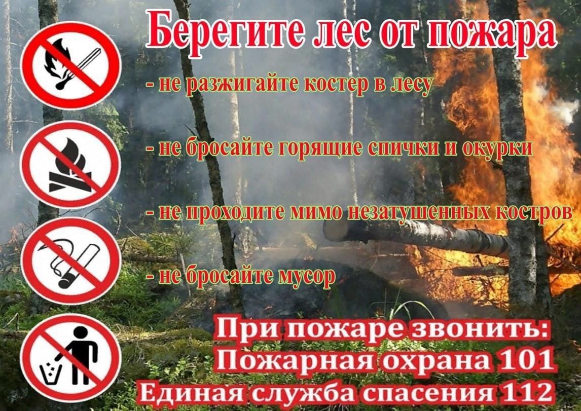 На территории Нижегородской области действует особый противопожарный режим
